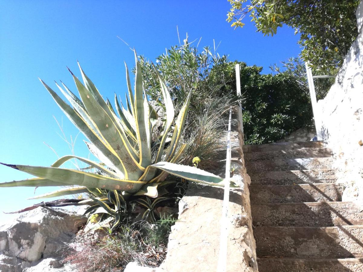 Beach House On The Cliff Zaton  Exterior foto