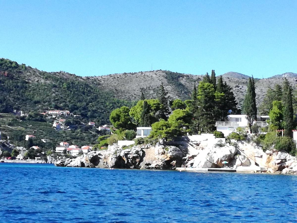 Beach House On The Cliff Zaton  Exterior foto