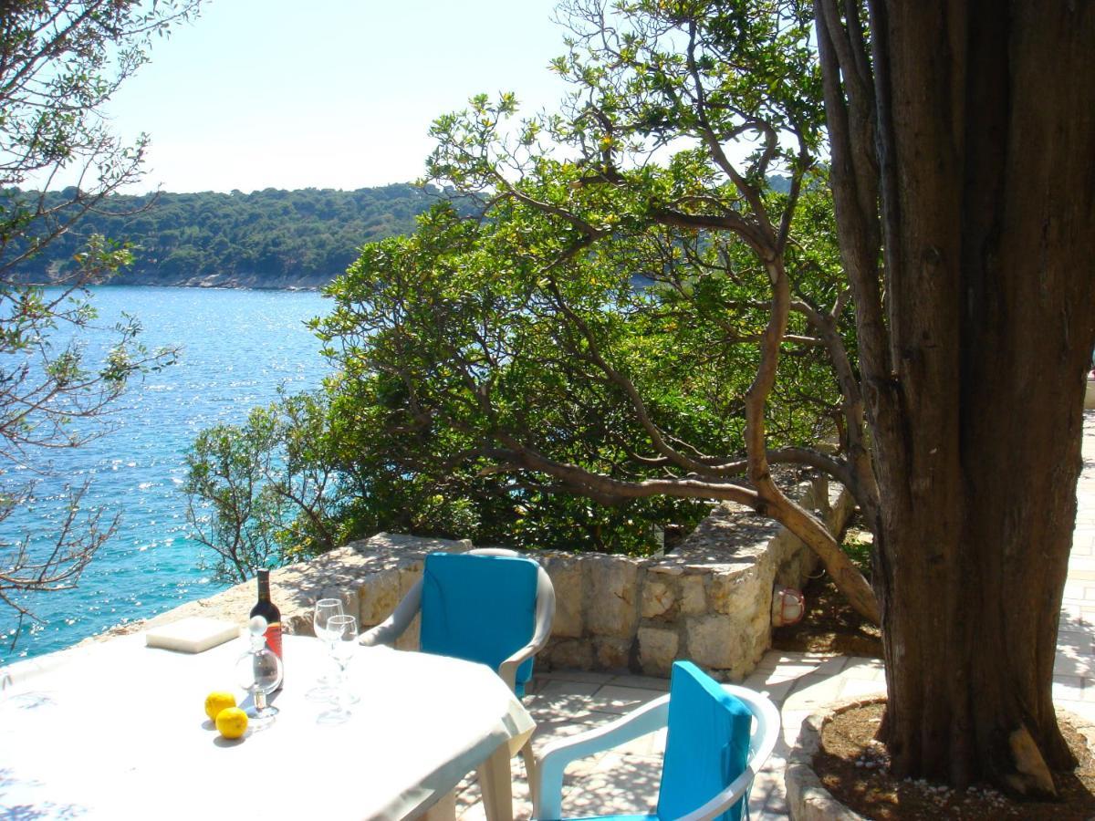 Beach House On The Cliff Zaton  Exterior foto