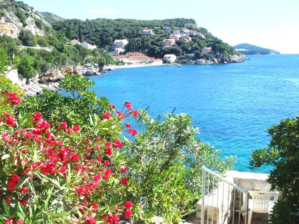 Beach House On The Cliff Zaton  Exterior foto