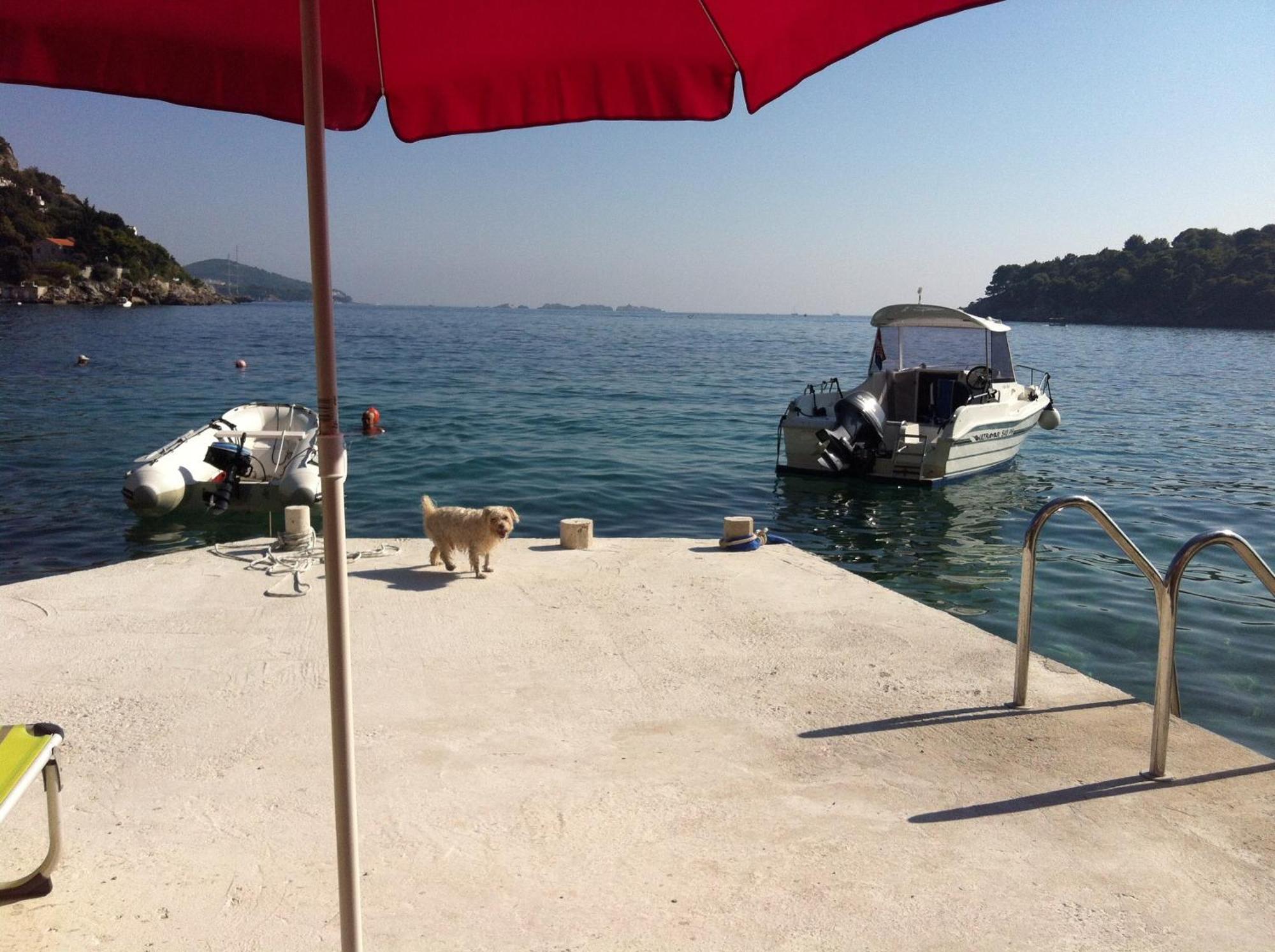 Beach House On The Cliff Zaton  Cameră foto